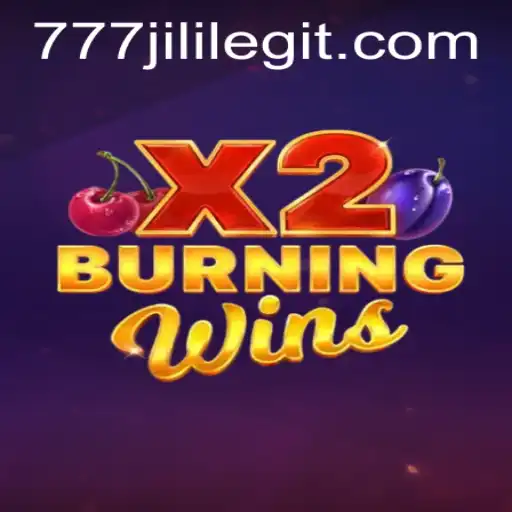 Exploring the Features and Gameplay of BurningWinsX2